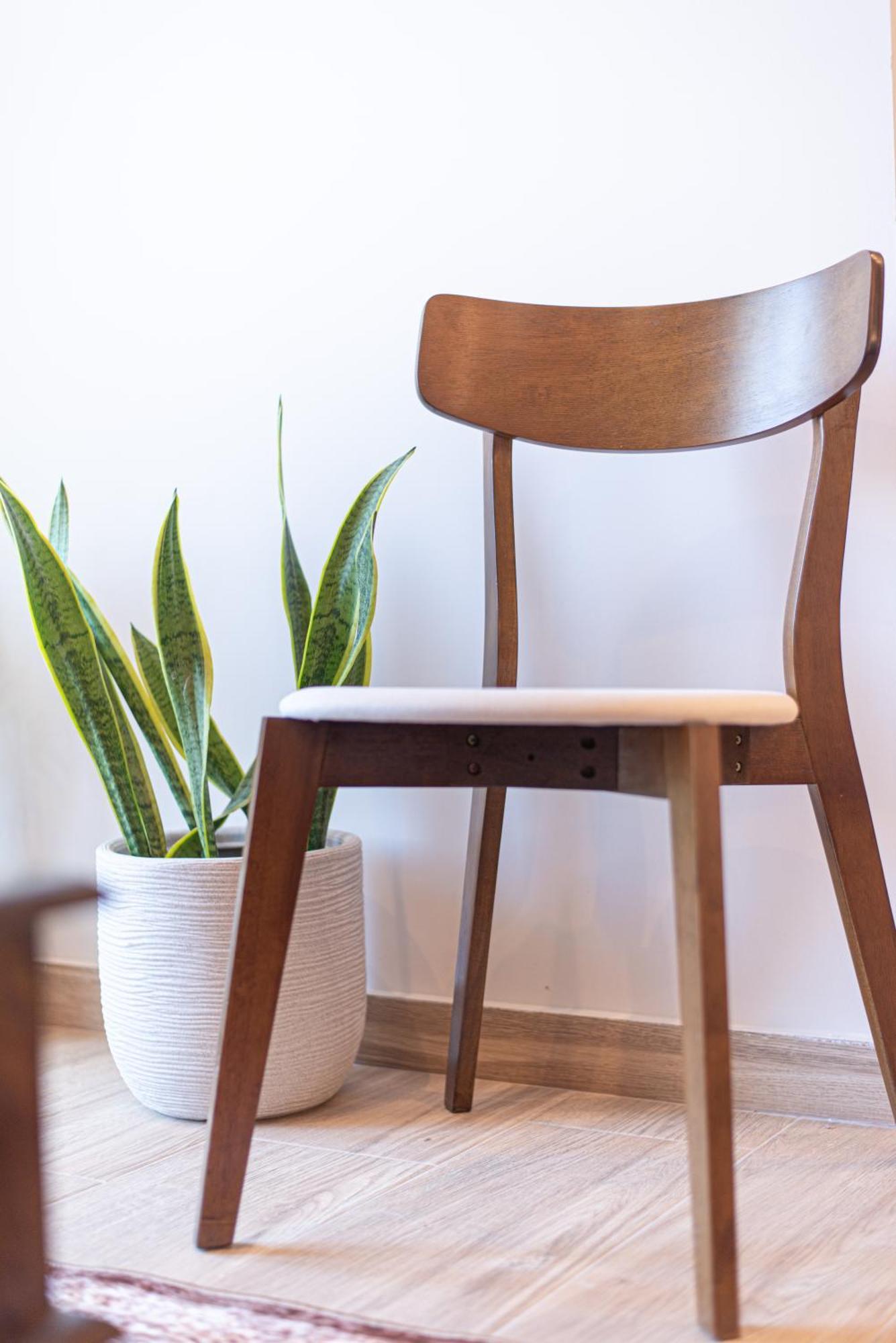 Kanela Apartment Oinofyta Eksteriør bilde